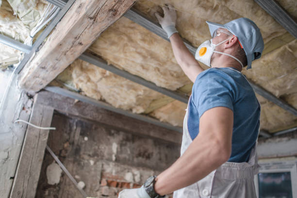 Types of Insulation We Offer in Spry, PA